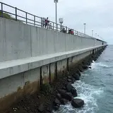 Seawall Repair